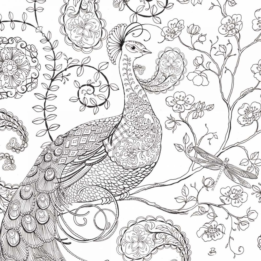 Color My World Ornate Peacock I square art print by Daphne Brissonnet for $57.95 CAD