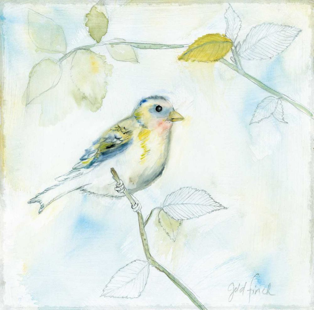 Sketched Songbird I art print by Sue Schlabach for $57.95 CAD