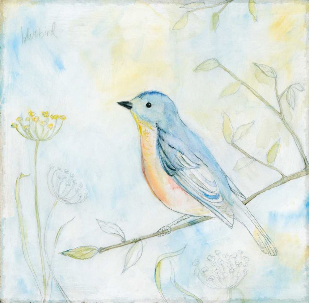 Sketched Songbird II art print by Sue Schlabach for $57.95 CAD