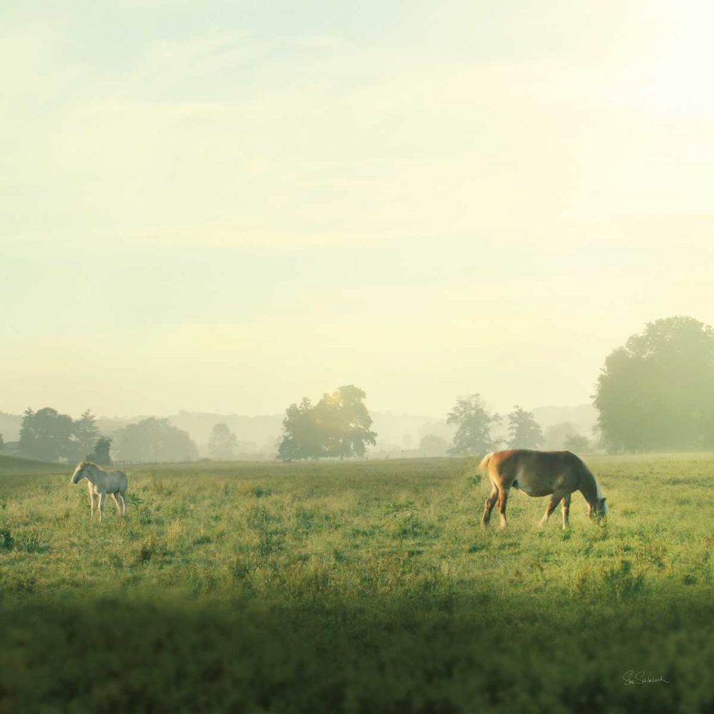 Farm Morning I Square art print by Sue Schlabach for $57.95 CAD