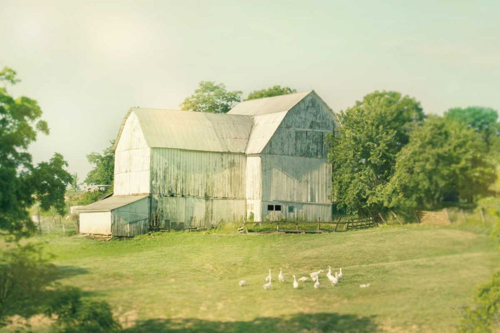 Farm Morning III Square art print by Sue Schlabach for $57.95 CAD