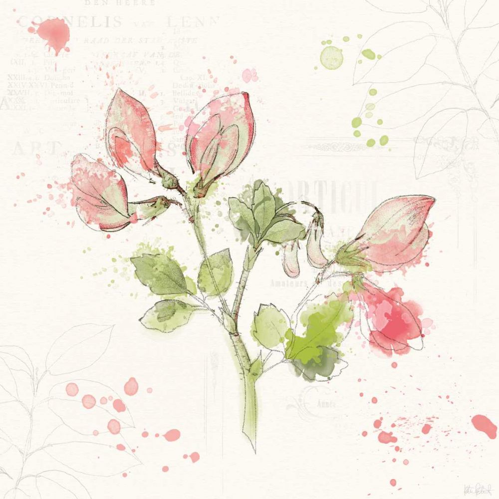 Floral Splash II art print by Katie Pertiet for $57.95 CAD