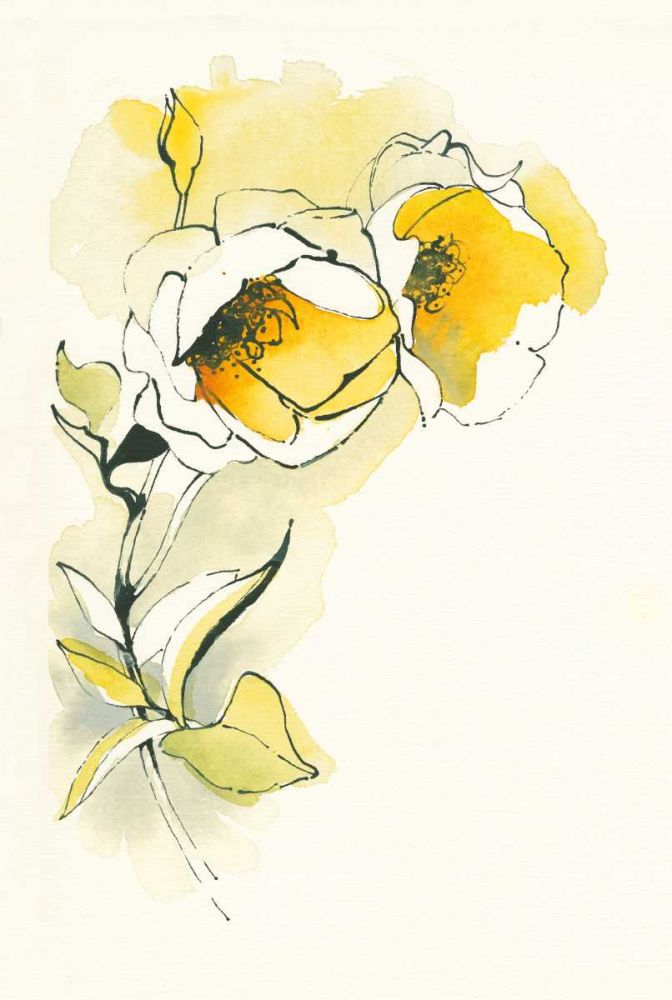 Carols Roses II art print by Shirley Novak for $57.95 CAD