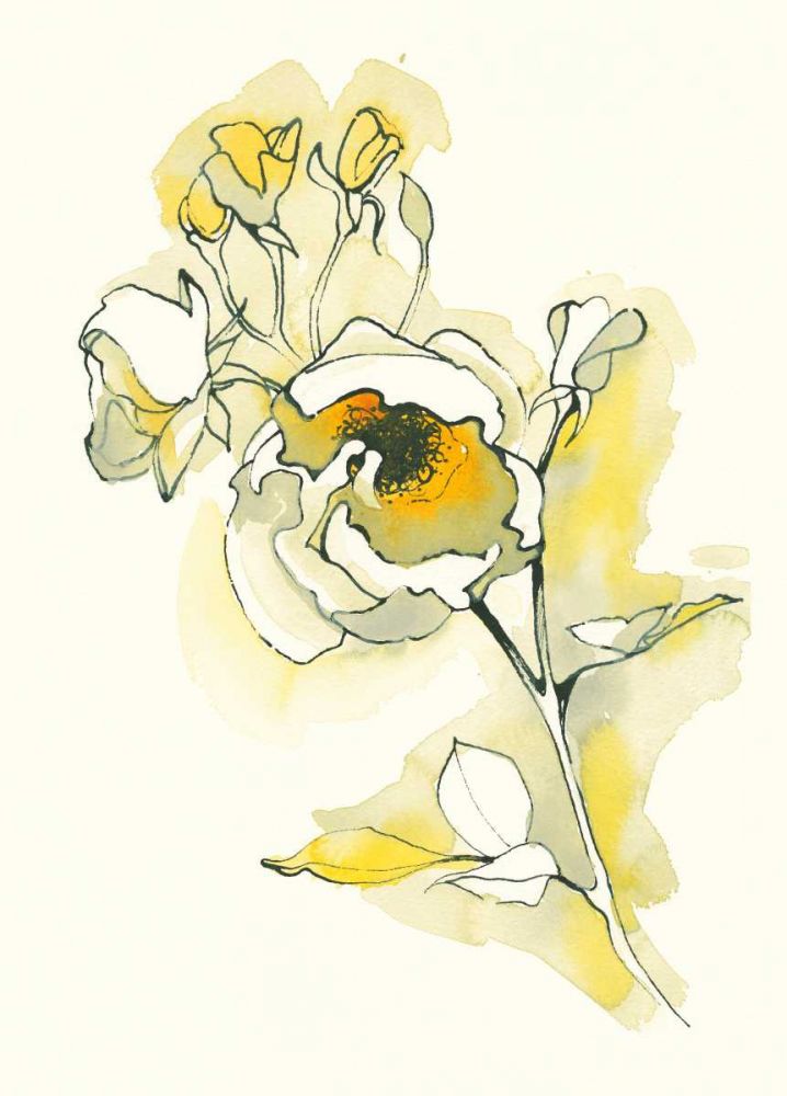 Carols Roses IV art print by Shirley Novak for $57.95 CAD
