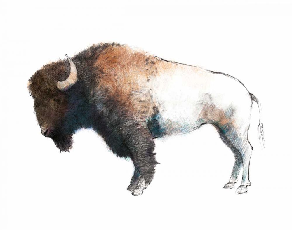 Colorful Bison Dark Brown art print by Avery Tillmon for $57.95 CAD