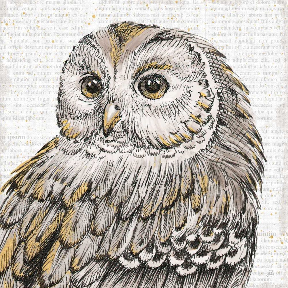 Beautiful Owls I art print by Daphne Brissonnet for $57.95 CAD