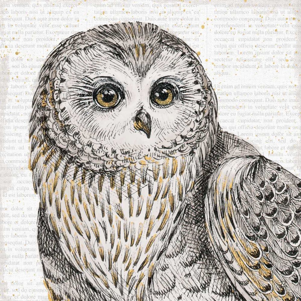 Beautiful Owls II art print by Daphne Brissonnet for $57.95 CAD
