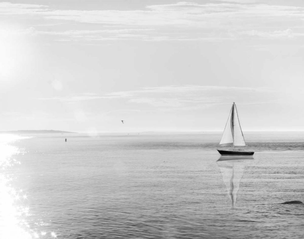 Evening Sail Black and White Crop art print by Sue Schlabach for $57.95 CAD