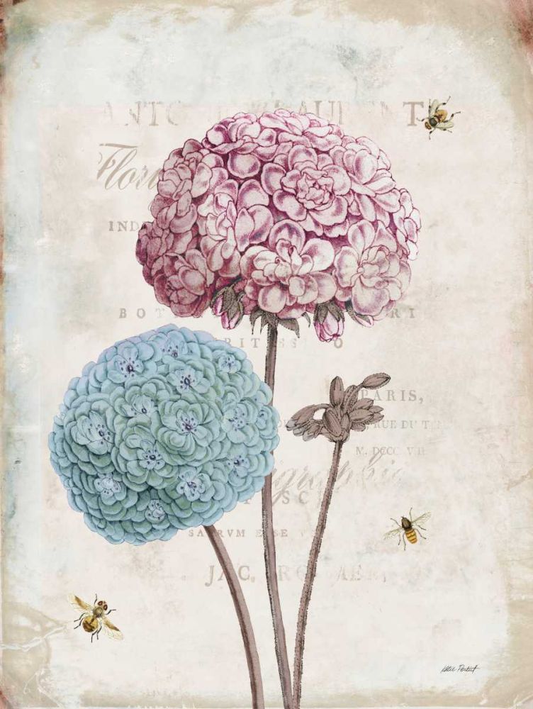Geranium Study II Pink Flower art print by Katie Pertiet for $57.95 CAD