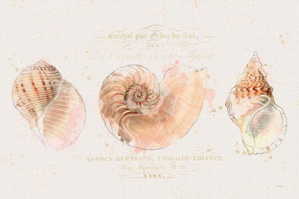 Shell Collector I art print by Katie Pertiet for $57.95 CAD
