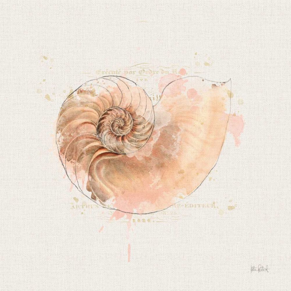 Shell Collector II art print by Katie Pertiet for $57.95 CAD