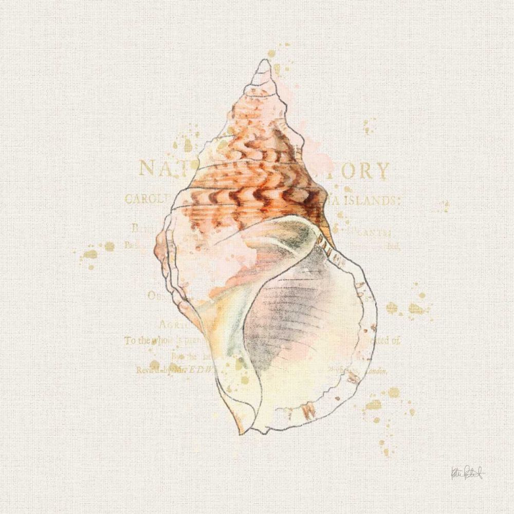 Shell Collector III art print by Katie Pertiet for $57.95 CAD