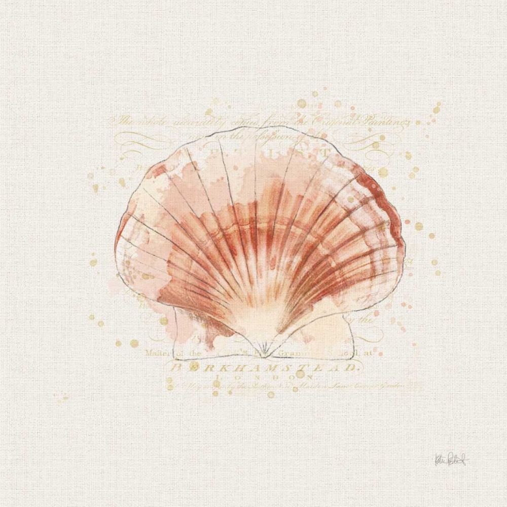 Shell Collector IV art print by Katie Pertiet for $57.95 CAD