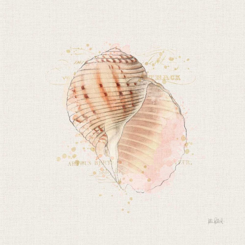 Shell Collector V art print by Katie Pertiet for $57.95 CAD