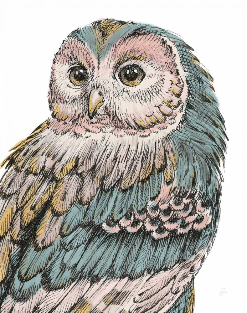 Beautiful Owls I Pastel art print by Daphne Brissonnet for $57.95 CAD