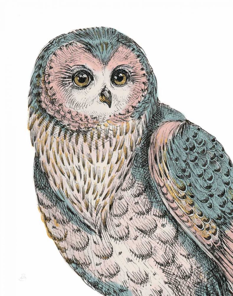 Beautiful Owls IV Pastel art print by Daphne Brissonnet for $57.95 CAD