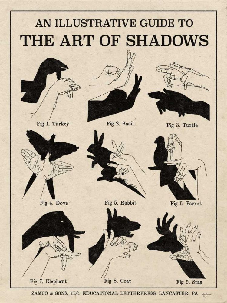 The Art of Shadows X art print by Mary Urban for $57.95 CAD