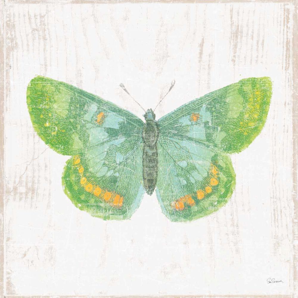 White Barn Butterflies II art print by Sue Schlabach for $57.95 CAD