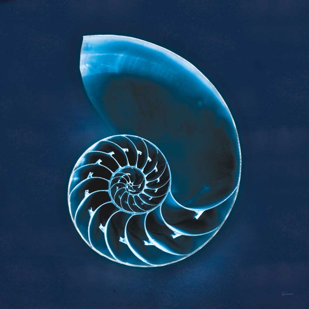 Cyanotype Sea II art print by Sue Schlabach for $57.95 CAD