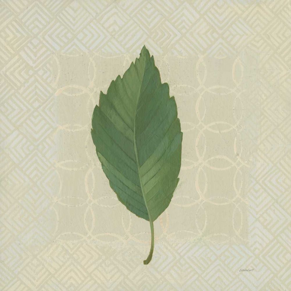 Forest Leaves III no Lines art print by Kathrine Lovell for $57.95 CAD
