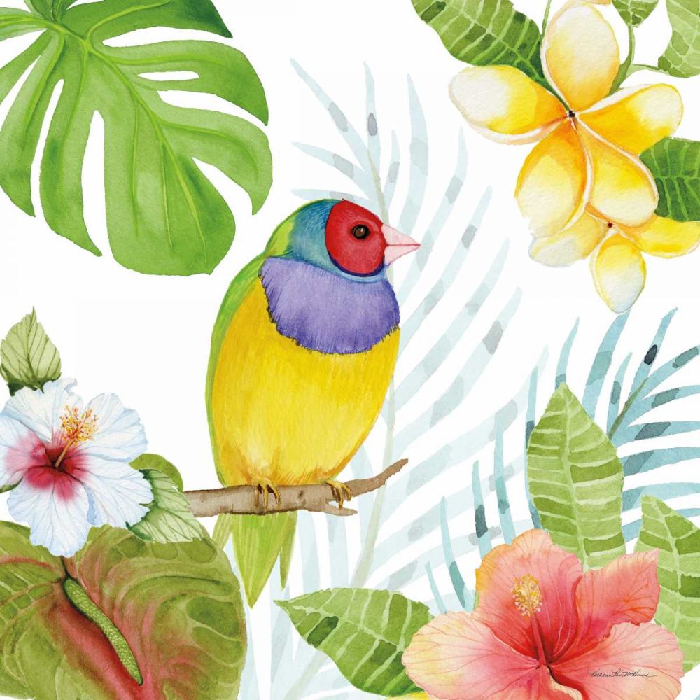 Treasures of the Tropics V art print by Kathleen Parr McKenna for $57.95 CAD