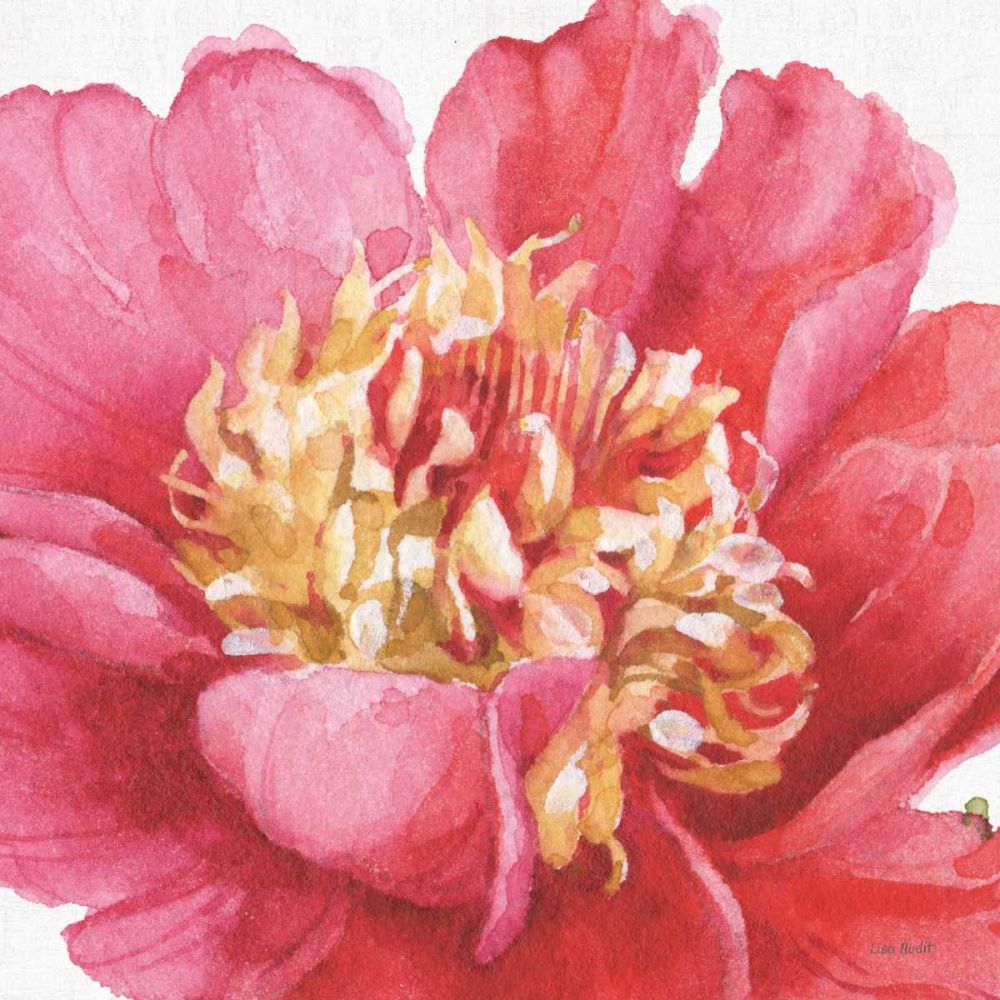 Pink Garden V art print by Lisa Audit for $57.95 CAD