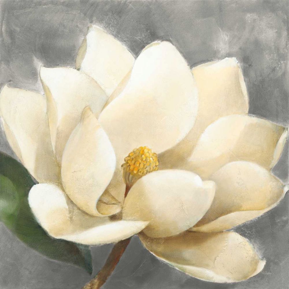 Magnolia Blossom on Gray art print by Albena Hristova for $57.95 CAD