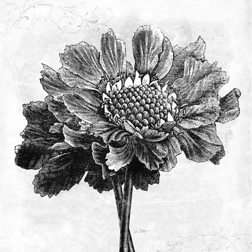 Spa Botanical I BW art print by Katie Pertiet for $57.95 CAD
