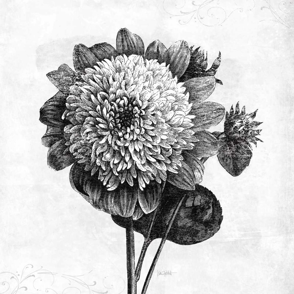Spa Botanical II BW art print by Katie Pertiet for $57.95 CAD