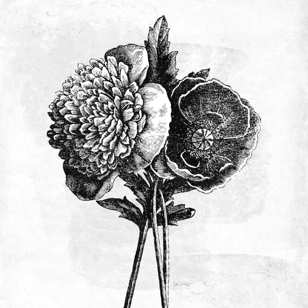 Spa Botanical III BW art print by Katie Pertiet for $57.95 CAD