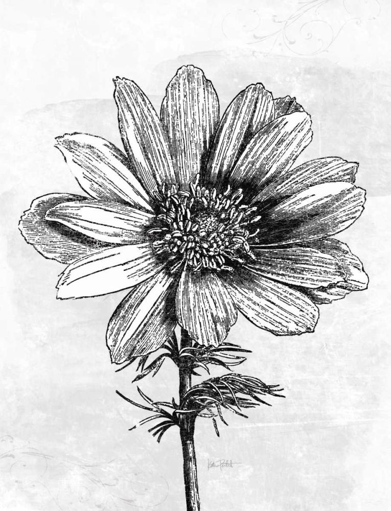 Spa Botanical IV BW Crop art print by Katie Pertiet for $57.95 CAD
