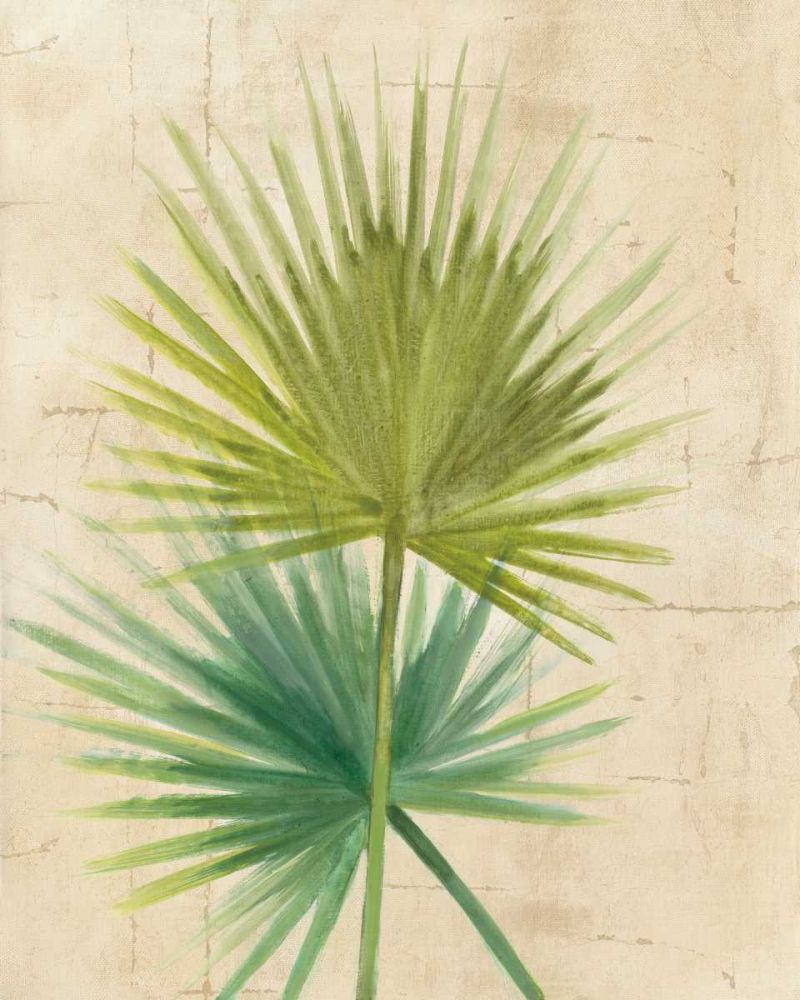 Fan Palm art print by Albena Hristova for $57.95 CAD