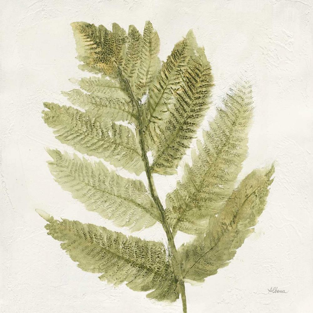 Forest Ferns I art print by Albena Hristova for $57.95 CAD