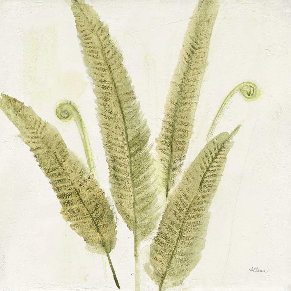Forest Ferns II art print by Albena Hristova for $57.95 CAD