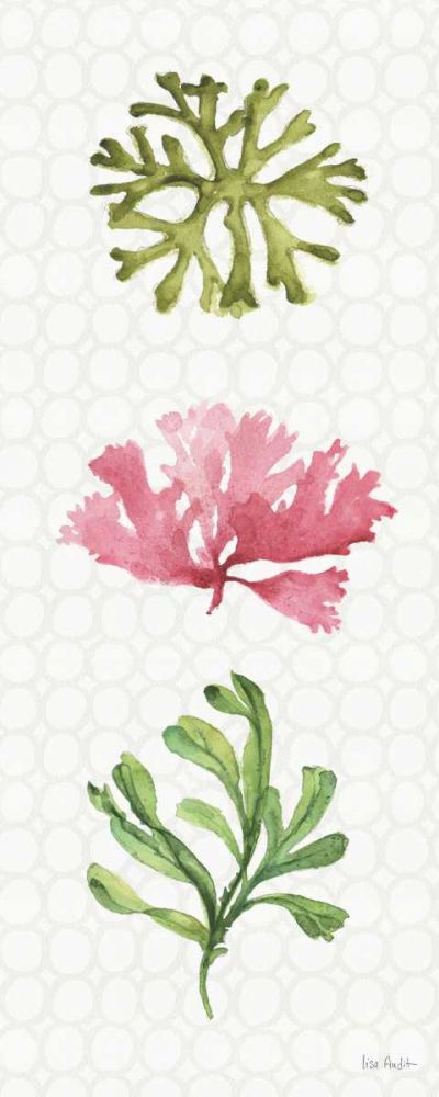 Mixed Greens XXVII art print by Lisa Audit for $57.95 CAD