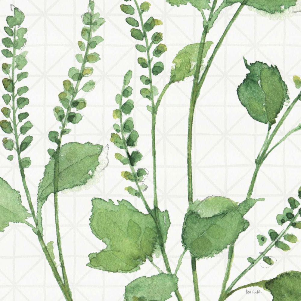 Mixed Greens LIV art print by Lisa Audit for $57.95 CAD