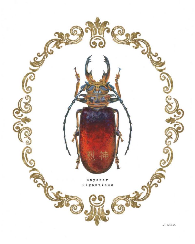 Adorning Coleoptera I art print by James Wiens for $57.95 CAD