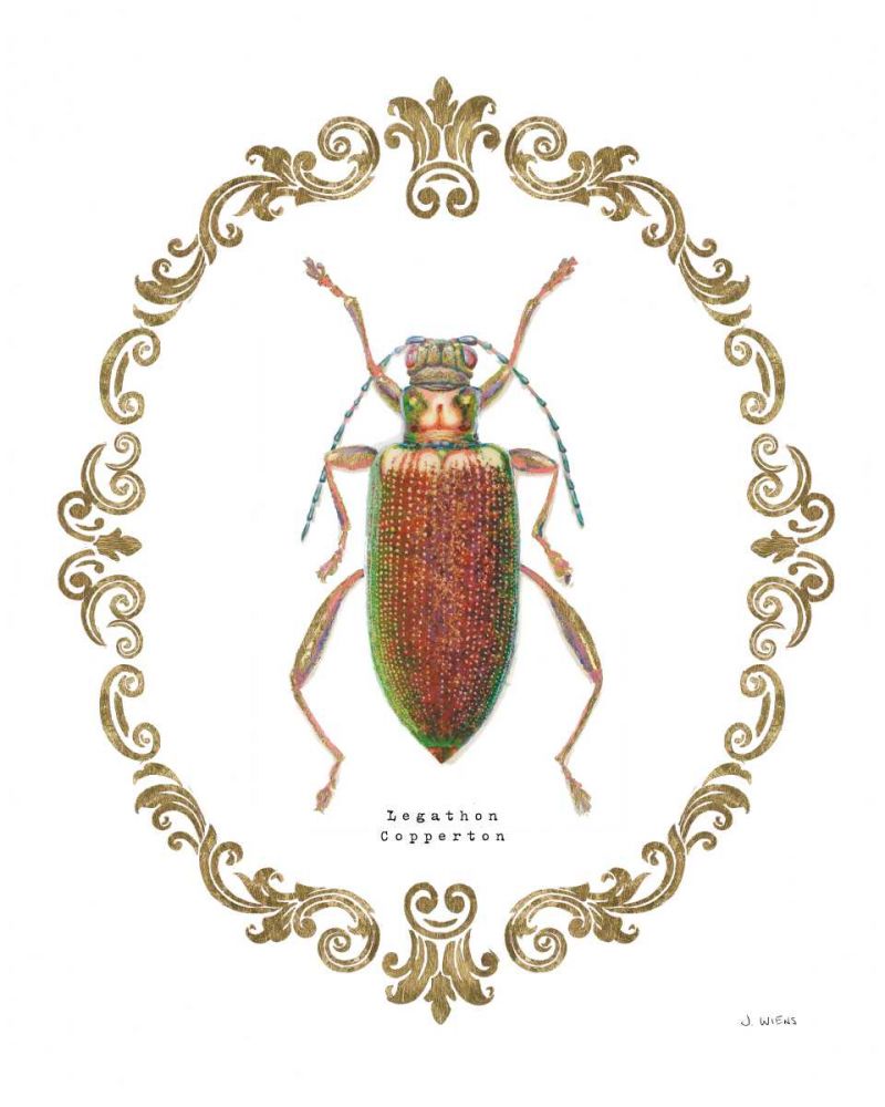 Adorning Coleoptera VI art print by James Wiens for $57.95 CAD