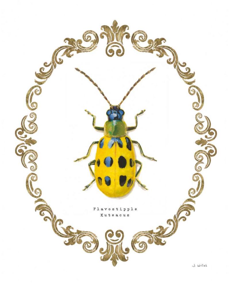 Adorning Coleoptera VII art print by James Wiens for $57.95 CAD