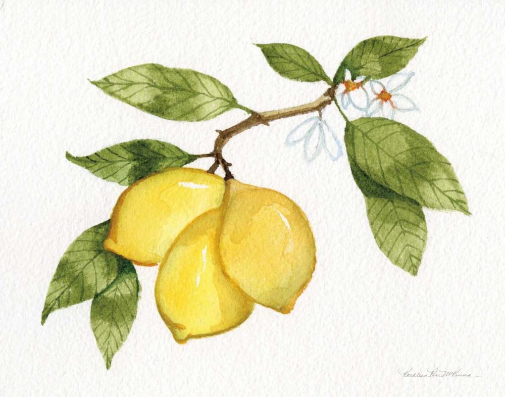Citrus Garden I art print by Kathleen Parr McKenna for $57.95 CAD