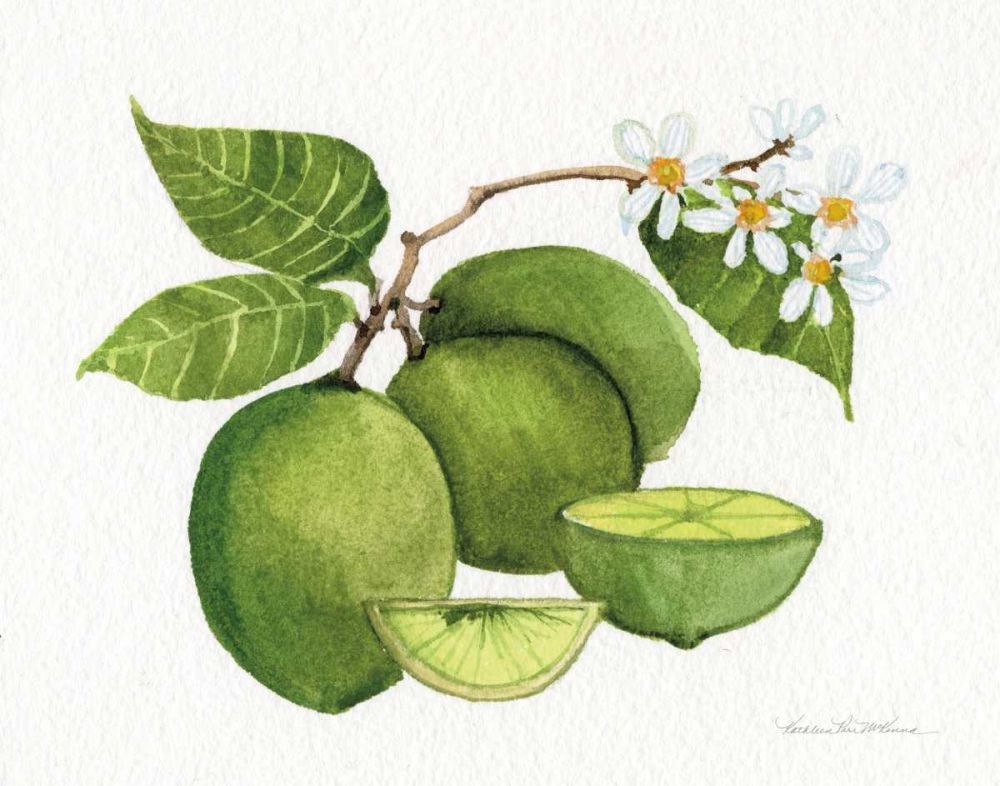 Citrus Garden IV art print by Kathleen Parr McKenna for $57.95 CAD