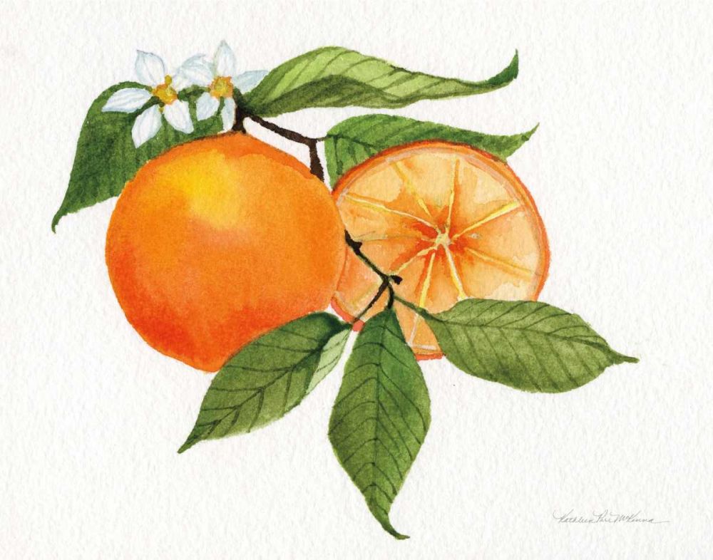 Citrus Garden V art print by Kathleen Parr McKenna for $57.95 CAD