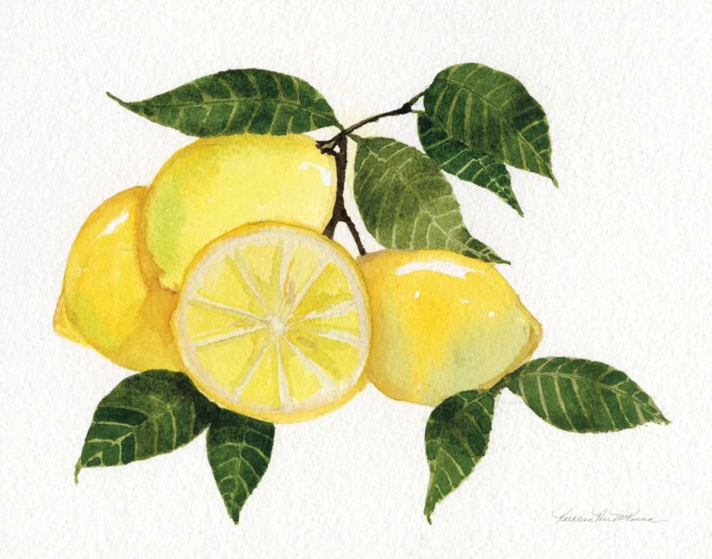 Citrus Garden VI art print by Kathleen Parr McKenna for $57.95 CAD