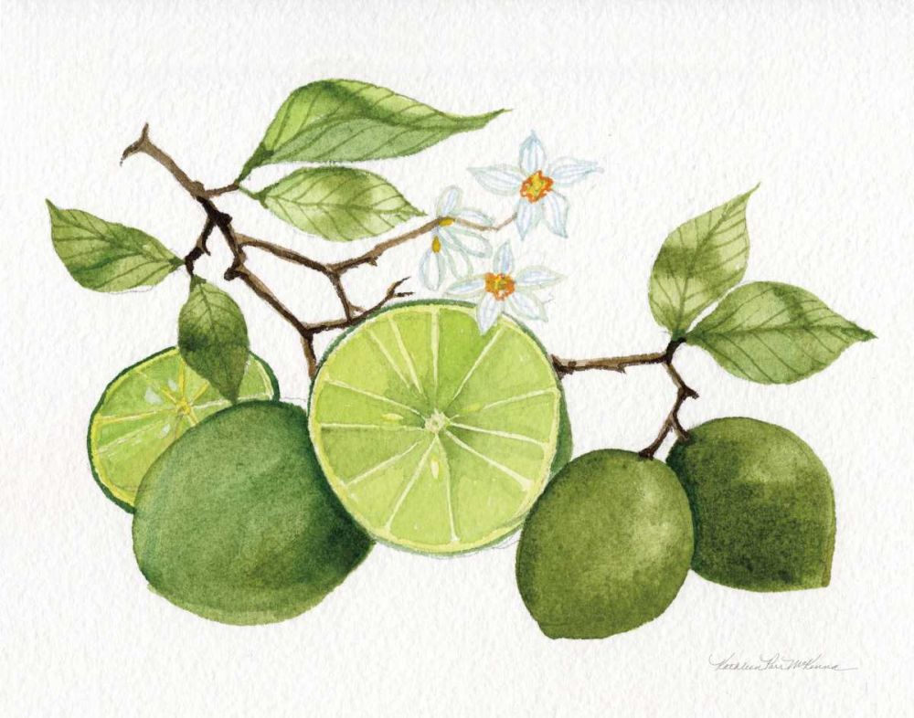 Citrus Garden VII art print by Kathleen Parr McKenna for $57.95 CAD