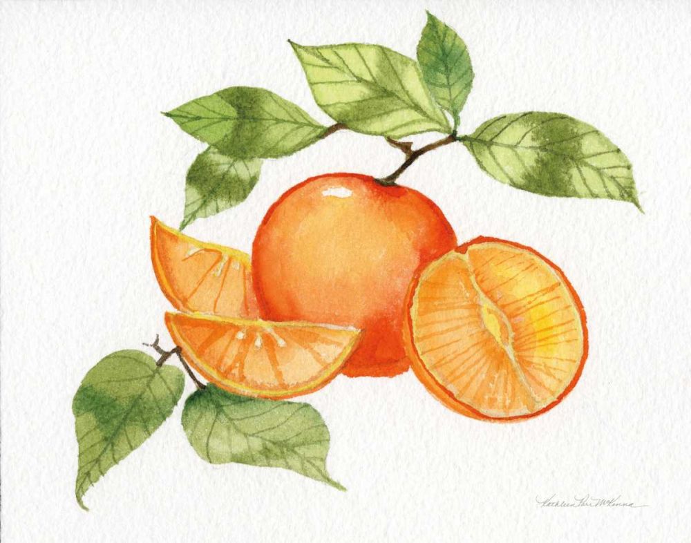 Citrus Garden VIII art print by Kathleen Parr McKenna for $57.95 CAD