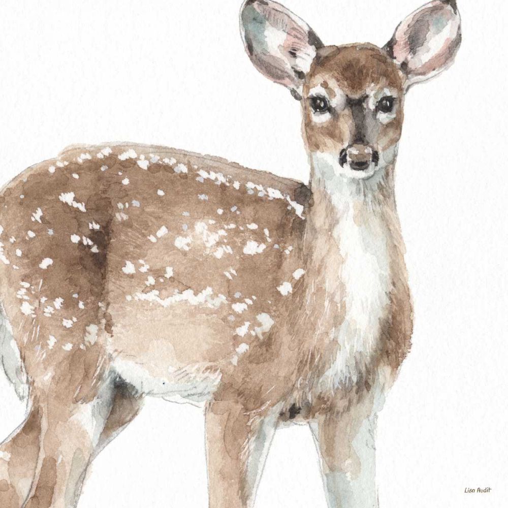 Forest Friends VI art print by Lisa Audit for $57.95 CAD