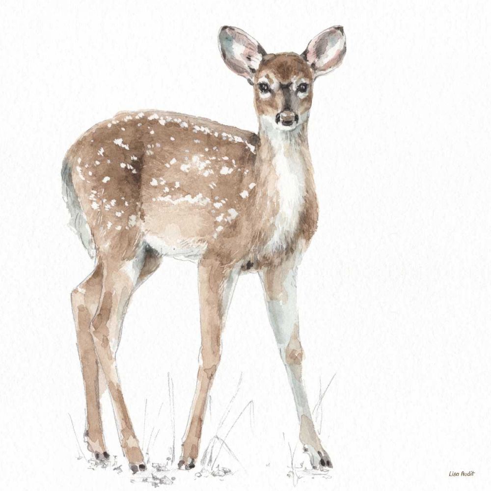 Forest Friends XII art print by Lisa Audit for $57.95 CAD