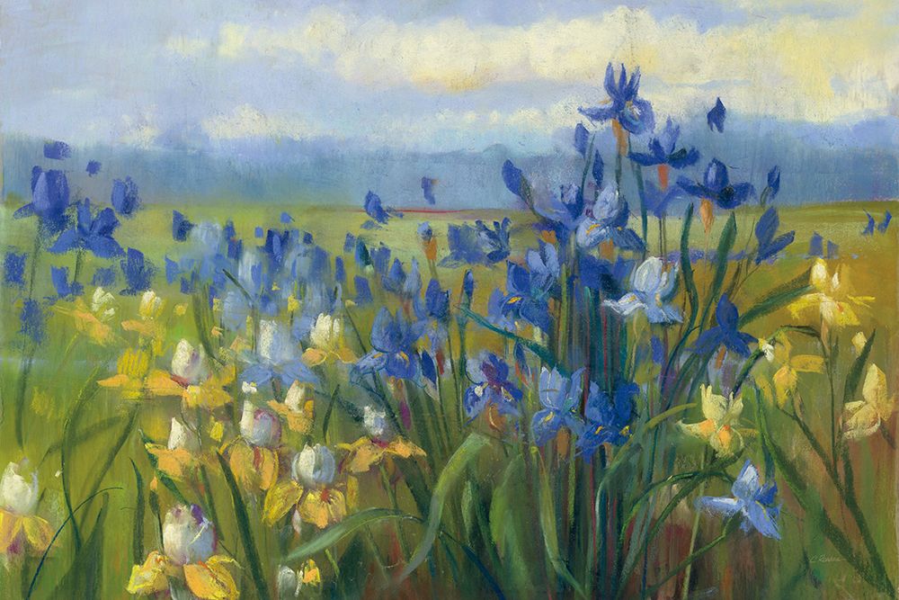 Blue and Yellow Flower Field  v2 art print by Carol Rowan for $57.95 CAD