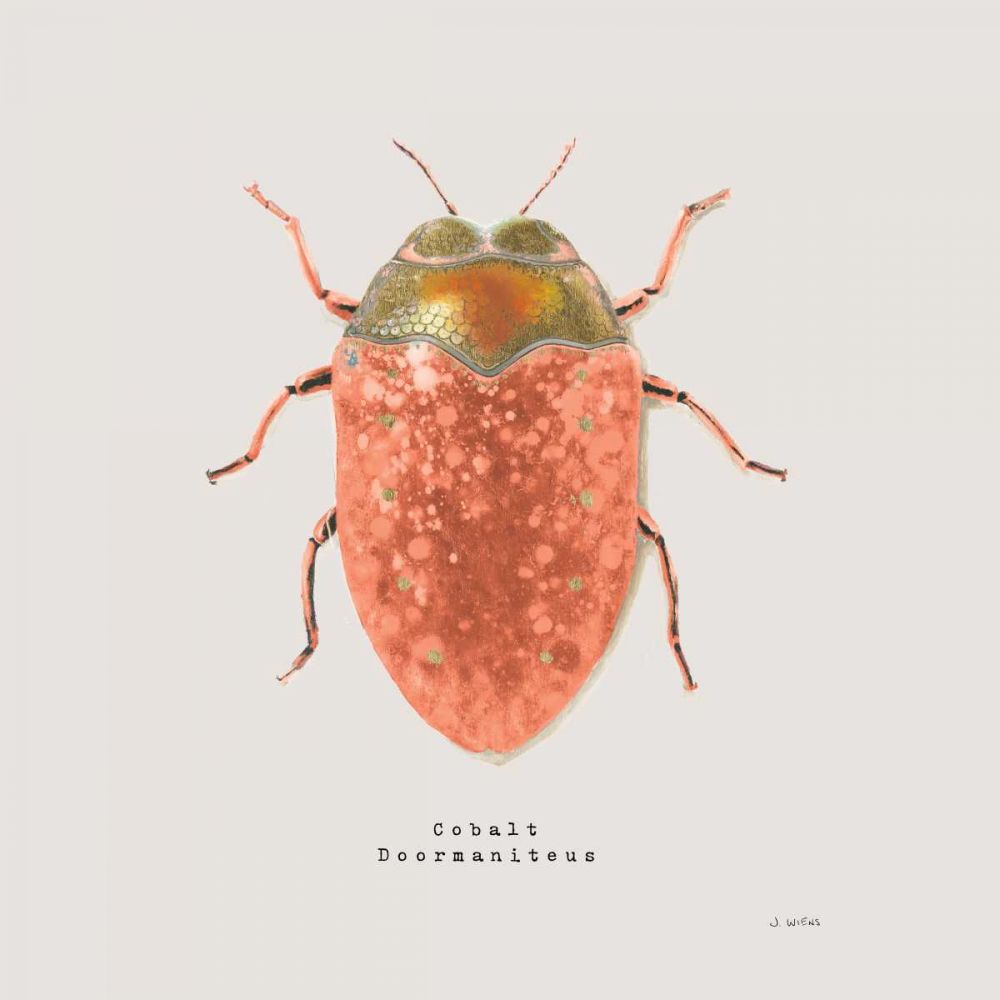 Adorning Coleoptera V Sq Camelia art print by James Wiens for $57.95 CAD