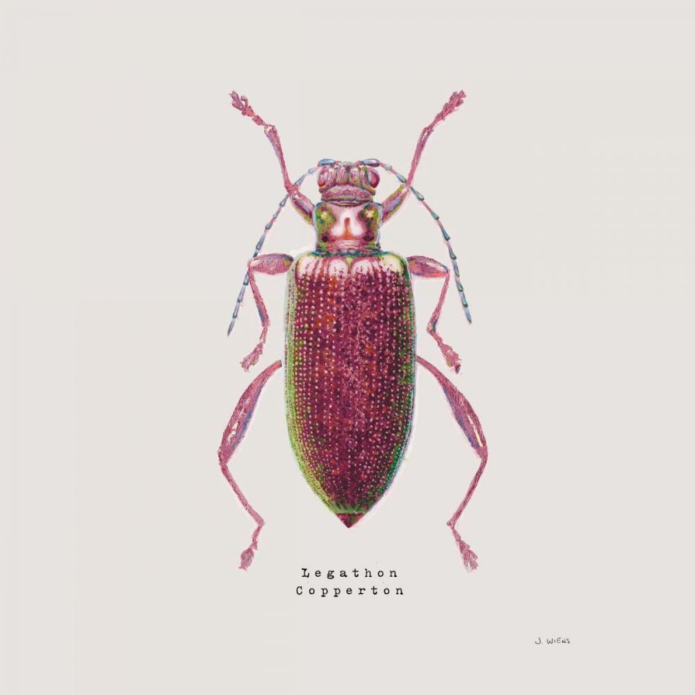 Adorning Coleoptera VI Sq Claret art print by James Wiens for $57.95 CAD
